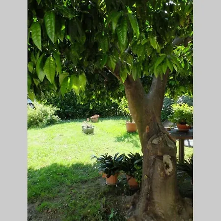 La Casina Di Bruna Mommio