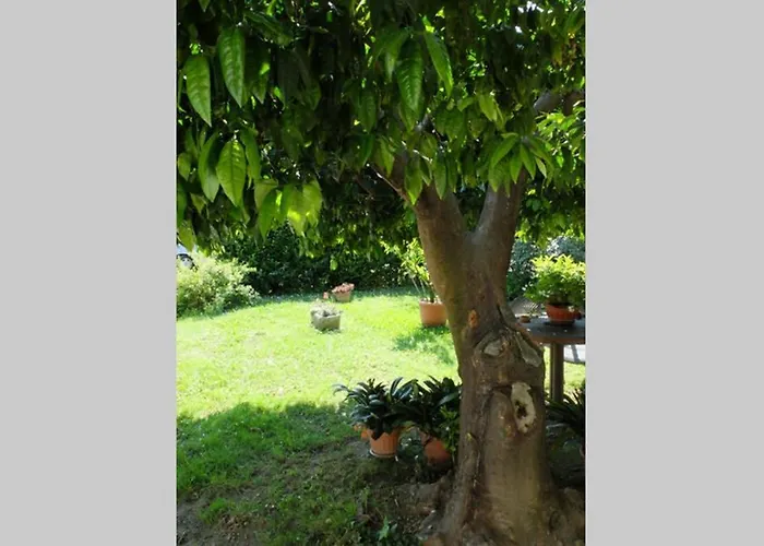 La Casina Di Bruna Mommio